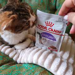 Фото отзыва 10531802