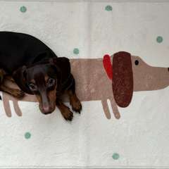 Фото отзыва 8761460