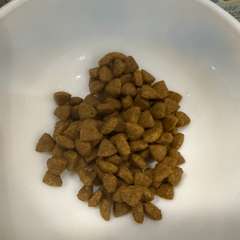 Фото отзыва 10707269