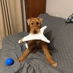 Фото отзыва 8237476