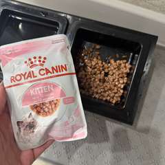 Фото отзыва 10970450