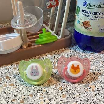 Пустышка BabyGo силикон ортодонтическая от 6 мес. 2 шт.: отзыв пользователя Детский Мир