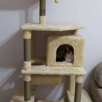 Игровой комплекс для кошек дом Pet БМФ Бежевый: отзыв пользователя. Зоомагазин Зоозавр