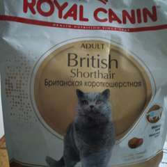 Фото отзыва 10900649