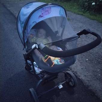 Коляска трансформер Babyton Spider Blue: отзыв пользователя ДетМир