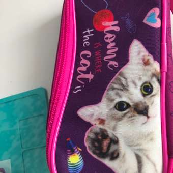 Пенал футляр Erhaft Кошки и собаки: отзыв пользователя Детский Мир