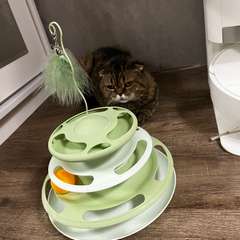 Фото отзыва 10910589