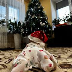 Фото отзыва 10871451