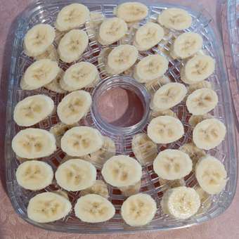 Сушилка для овощей CENTEK CT-1650 270Вт 5 поддонов: отзыв пользователя Детский Мир