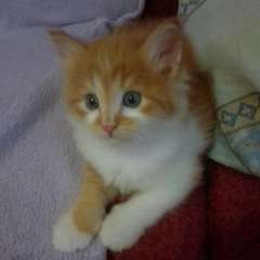 Фото отзыва 10975978