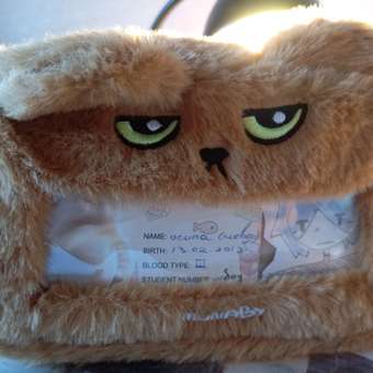 Пенал Munaby Miao в ассортименте: отзыв пользователя Детский Мир