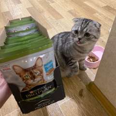 Фото отзыва 10603040