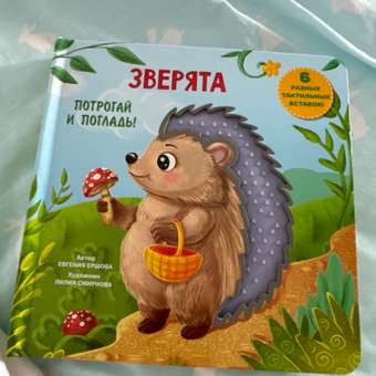 Книга АСТ Зверята Тактильная развивающая: отзыв пользователя Детский Мир