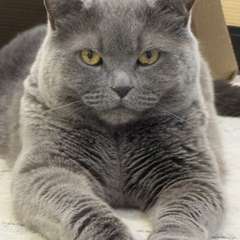 Фото отзыва 10721289