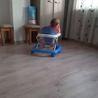 Ходунки Babyton синий: отзыв пользователя Детский Мир