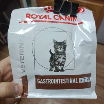 Корм для котят ROYAL CANIN Gastrointestinal kitten при нарушениях пищеварения 350г: отзыв пользователя. Зоомагазин Зоозавр