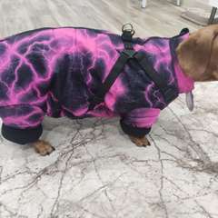 Фото отзыва 10673541