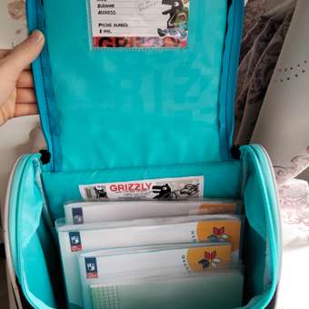 Ранец Grizzly для мальчика: отзыв пользователя Детский Мир