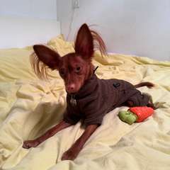 Фото отзыва 10731283