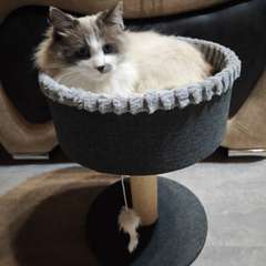 Фото отзыва 10915165