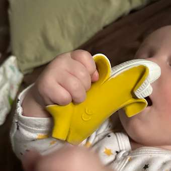 Прорезыватель OLI and CAROL: отзыв пользователя Детский Мир