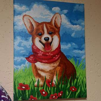 Картина по номерам Attivio Корги: отзыв пользователя Детский Мир