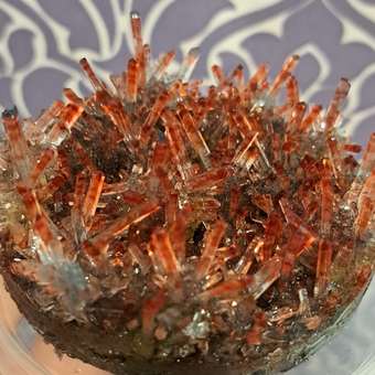 Набор для опытов Attivio Драгоценный кристалл большой: отзыв пользователя Детский Мир