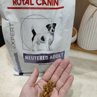 Корм для собак ROYAL CANIN Ньютрид Эдалт Смол Догз 0.8кг: отзыв пользователя. Зоомагазин Зоозавр
