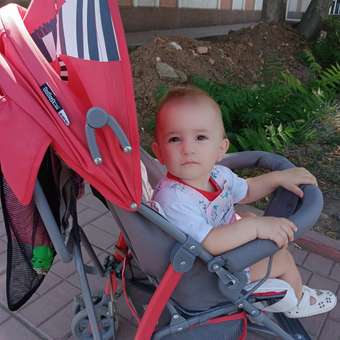 Коляска прогулочная Babyton Zoo Red: отзыв пользователя ДетМир
