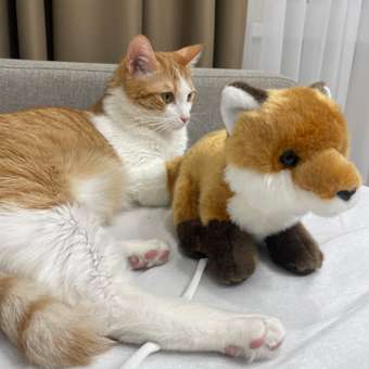 Мягкая игрушка Aurora лисичка: отзыв пользователя Детский Мир