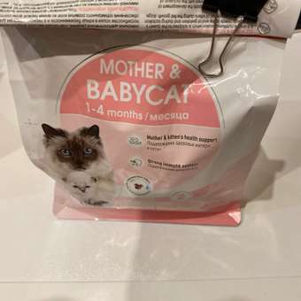 Корм для котят Royal Canin Mother and Babycat 400г: отзыв пользователя. Зоомагазин Зоозавр