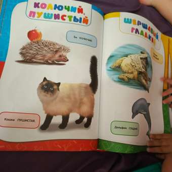 Книга Эксмо Годовой курс занятий для детей 1-2лет: отзыв пользователя ДетМир