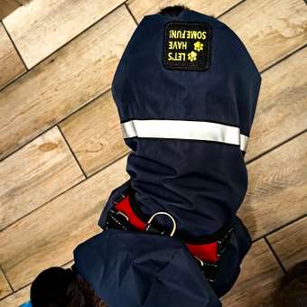 Дождевик-куртка для собак Зоозавр темно-синяя 45: отзыв пользователя. Зоомагазин Зоозавр