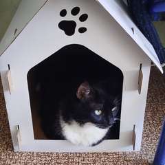 Фото отзыва 11262105