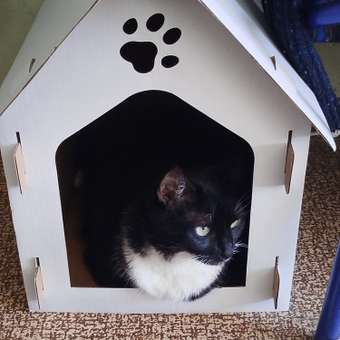 Когтеточка для кошек Barbaks Домик-будка картон 40*39*30.5см: отзыв пользователя. Зоомагазин Зоозавр