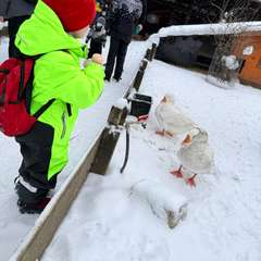 Фото отзыва 11079412