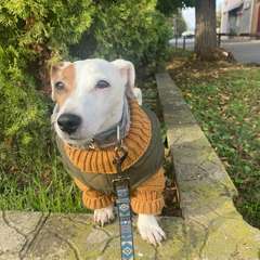 Фото отзыва 10618652