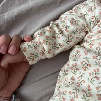 Комбинезон 3 шт Carrot: отзыв пользователя Детский Мир