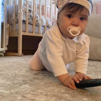 Пустышка Canpol Babies силикон анатомическая от 6 мес. в ассортименте: отзыв пользователя ДетМир