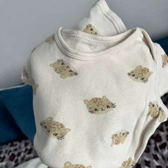 Боди BabyGо: отзыв пользователя Детский Мир