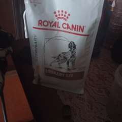 Фото отзыва 10877767