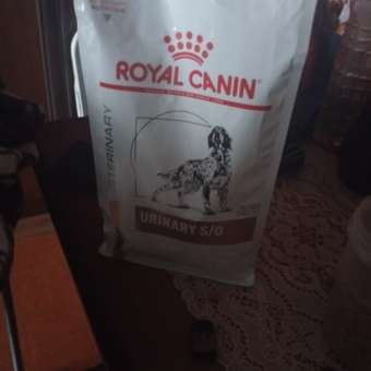 Корм для собак ROYAL CANIN Veterinary Diet Urinary S/O LP 18 при заболеваниях дистального отдела мочевыделительной системы 2кг: отзыв пользователя. Зоомагазин Зоозавр