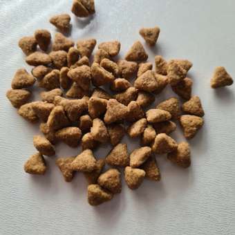 Корм для кошек ROYAL CANIN Indoor 27 взрослых живущих в помещении сухой 0.2кг: отзыв пользователя. Зоомагазин Зоозавр