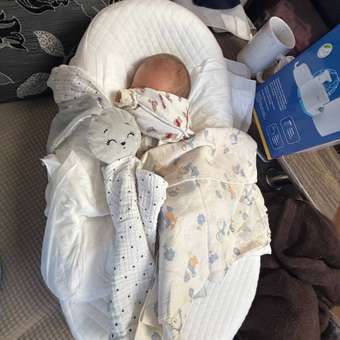 Матрас гнездышко Betterpillows Baby: отзыв пользователя Детский Мир