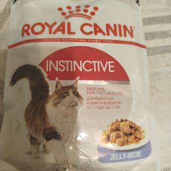 Корм влажный для кошек ROYAL CANIN Instinctive 85г желе пауч 77848: отзыв пользователя. Зоомагазин Зоозавр