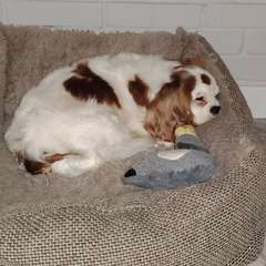 Фото отзыва 10831960