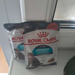 Фото отзыва 10309499