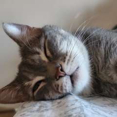 Фото отзыва 11189956