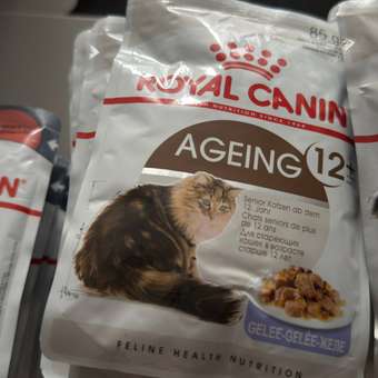 Корм для кошек ROYAL CANIN Ageing 85гр для пожилых 12+ желе пауч: отзыв пользователя. Зоомагазин Зоозавр