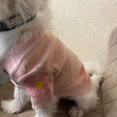 Фото отзыва 10627009